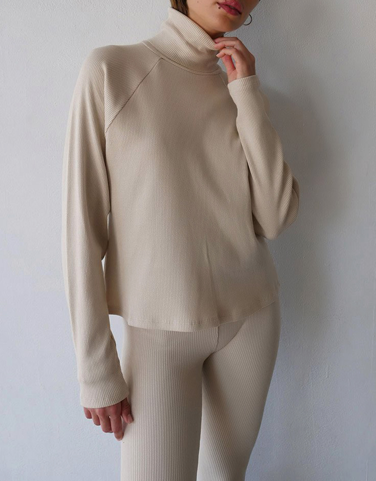 The Range Mass Turtleneck Cropped Sweater The Range Mass Turtleneck Cropped Sweater