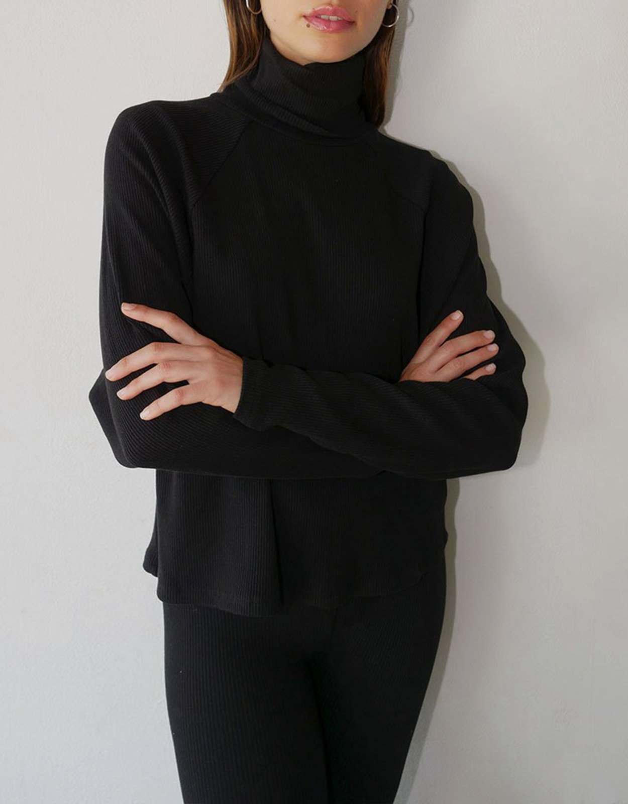 The Range Mass Turtleneck Cropped Sweater The Range Mass Turtleneck Cropped Sweater