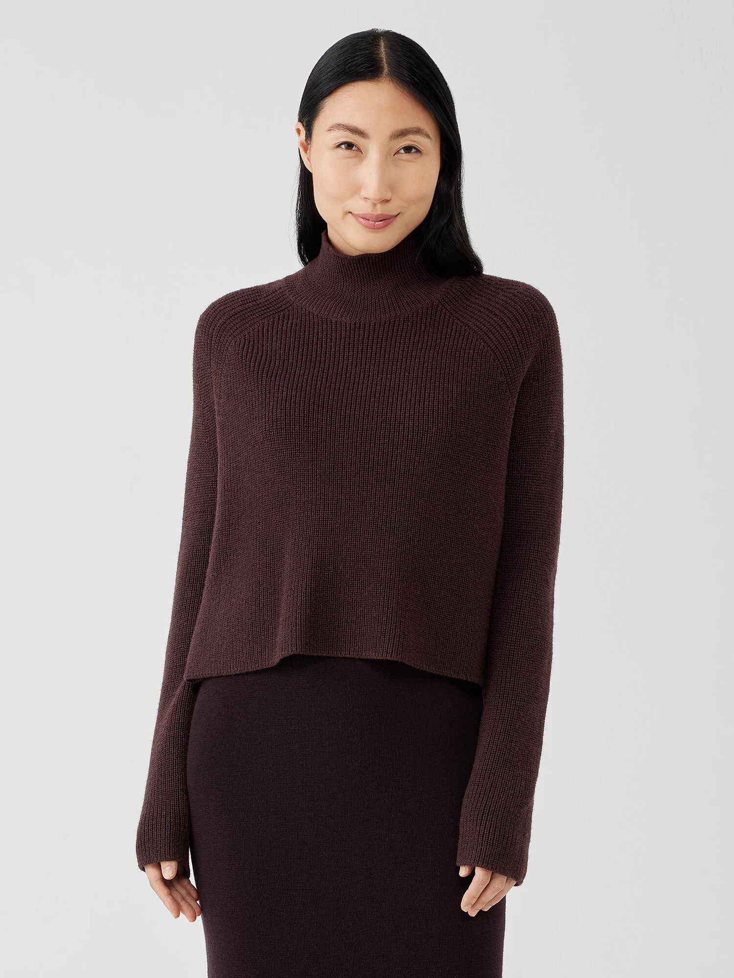 Merino Cropped Turtleneck Top Merino Cropped Turtleneck Top