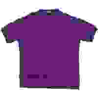 POLO RALPH LAUREN Mens Polo Shirt Purple POLO RALPH LAUREN Mens Polo Shirt Purple