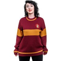 Harry Potter: Gryffindor Quidditch Jumper Harry Potter: Gryffindor Quidditch Jumper